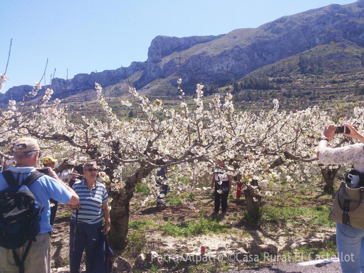 Buhardilla Rústica en la Vall de Gallinera Aparthotel Patró Esterno foto
